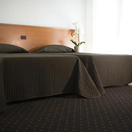 Palace Hotel Crema